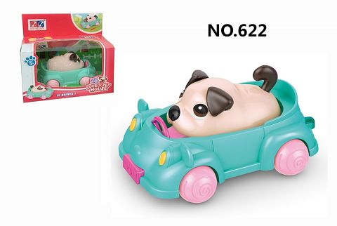 Car + dog