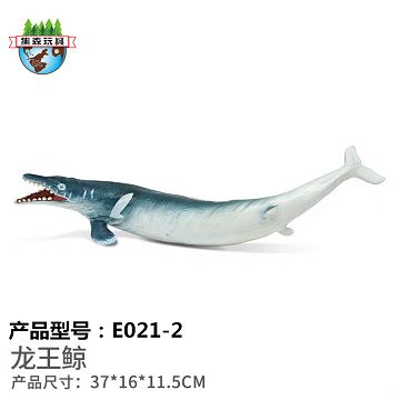 Enamel ancient sea - Basilosaurus