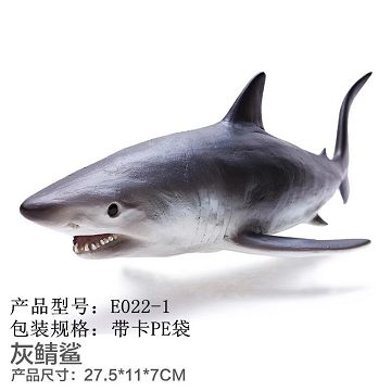 Glue out of the sea - Mako shark