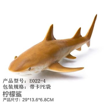 Glue out of the ocean - lemon sharks