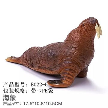 Enamel sea - walrus