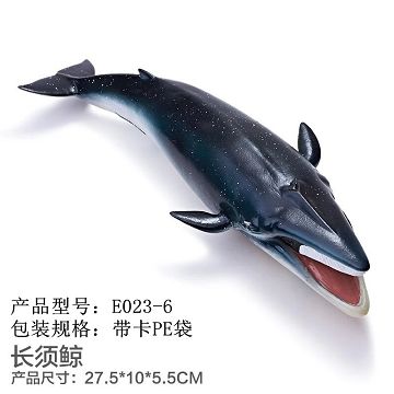 Kept out of the sea - fin whales