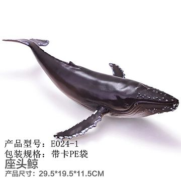 Lined ocean - Humpback whale