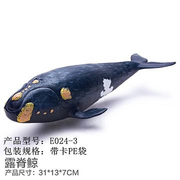 Glue the sea - the right whale