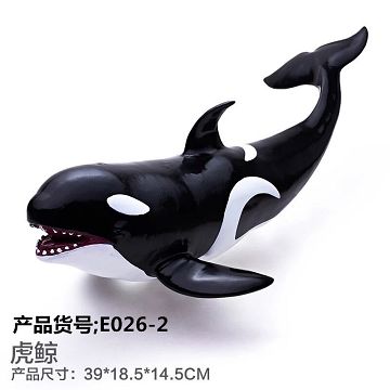 Keep out the sea - killer whales
