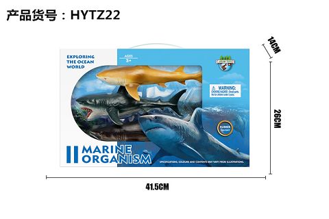 Enamel sea - great white shark, lemon shark, gray whale shark