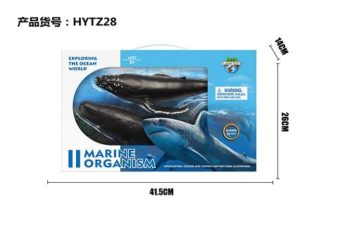 Enamel sea - Humpback whale, sperm whale