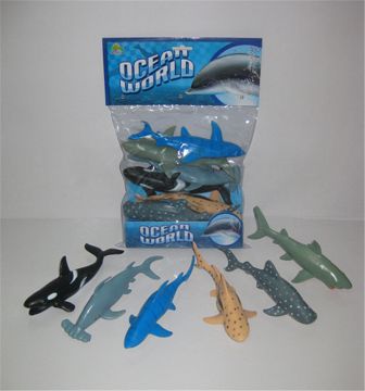 Seven inch shark whales