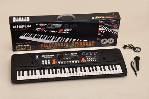 61-Key electronic organ with microphone/usb power cord and u-disc music playing socket