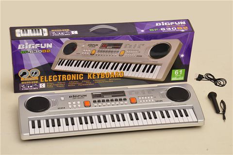 61-Key electronic organ with microphone/usb power cord and u-disc music playing socket