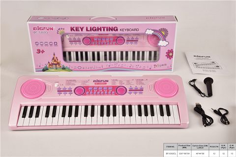 49-Key electronic organ with microphone/audio cable\/usb power cord\/instruction
