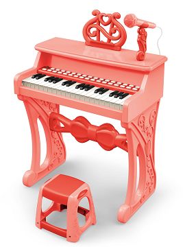 37 keys, manual, music stand, microphone, adapter