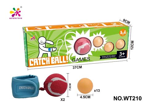 Catch the ball